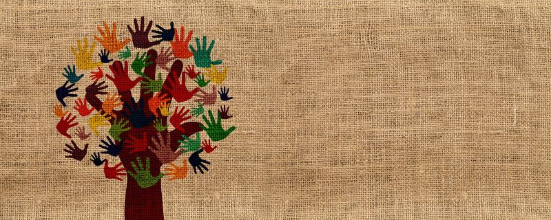arbol-solidario