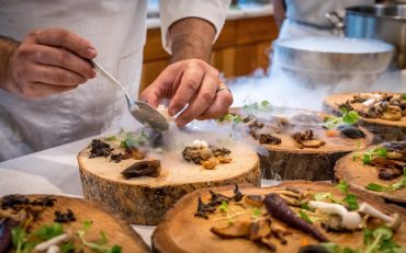 appetizers-chef-cuisine-1267320 appetizers-chef-cuisine-1267320